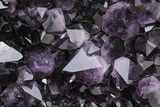 Deep-Purple Amethyst Wings on Metal Stand - Large Crystals #209260-12